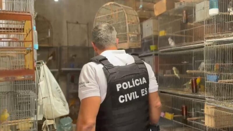Polícia Civil do Espírito Santo desarticula criadouro ilegal de aves e apura maus-tratos na Serra