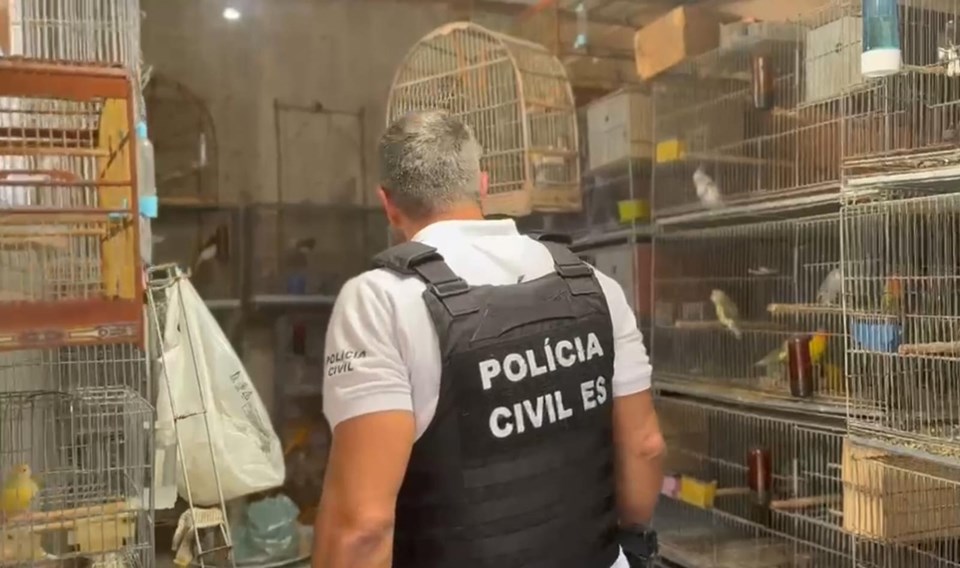 Polícia Civil do Espírito Santo desarticula criadouro ilegal de aves e apura maus-tratos na Serra
